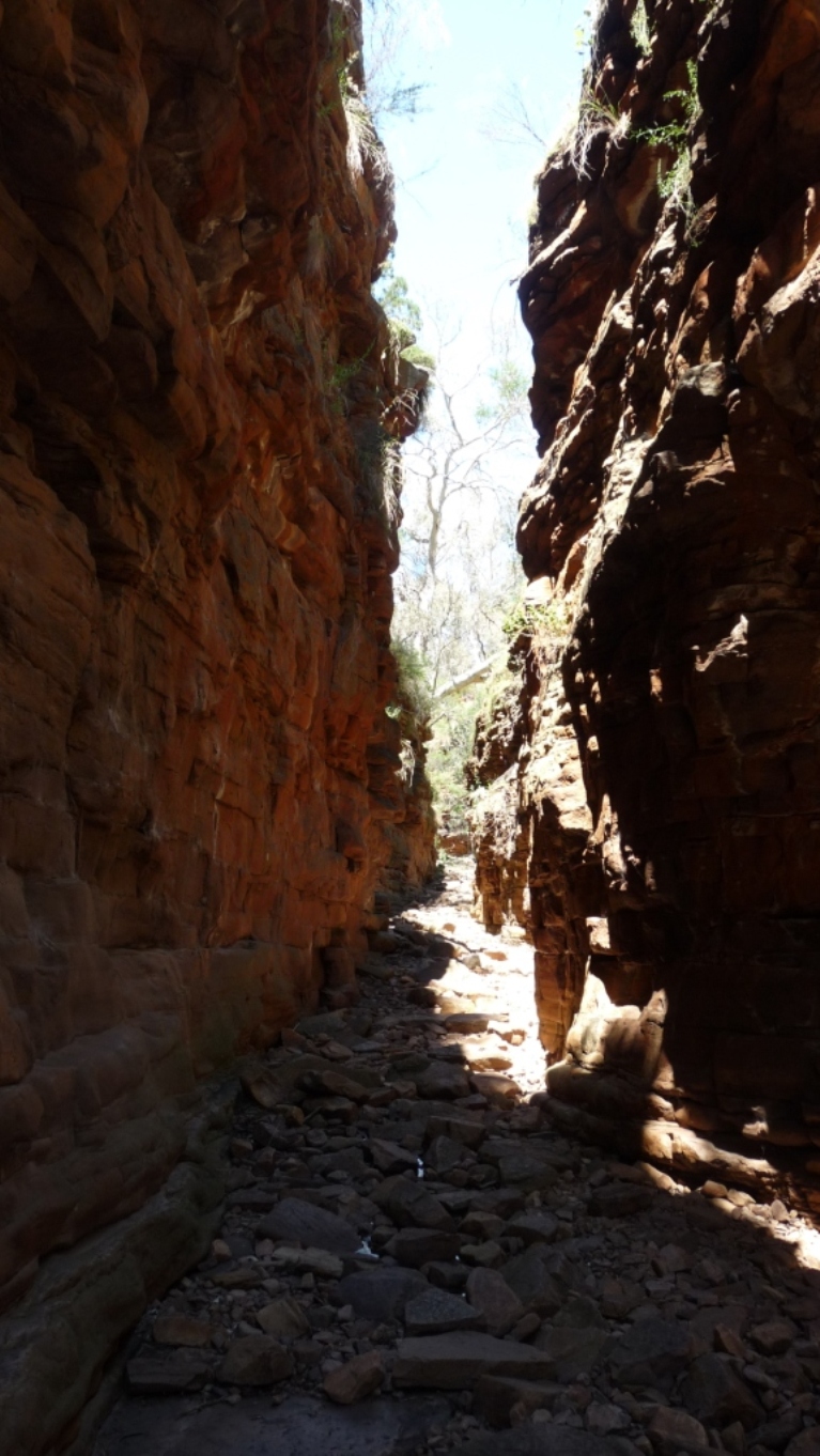 Alligator Gorge